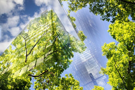 The Future of Sustainable Business: Enterprise and the Environment
